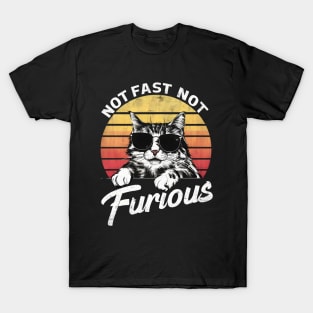 Not Almost Not Furious Lazy Relaxed Cat T-Shirt